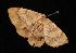  ( - 05-QLD-00685)  @13 [ ] Copyright (2010) Unspecified Unspecified