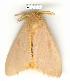  ( - gvc1022-1L)  @12 [ ] Copyright (2004) Unspecified Unspecified