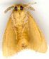  ( - gvc1022-1L)  @12 [ ] Copyright (2004) Unspecified Unspecified