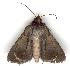 ( - gvc1410-1L)  @14 [ ] Copyright (2004) Unspecified Unspecified