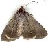  ( - gvc1449-1L)  @13 [ ] Copyright (2004) Unspecified Unspecified