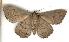  ( - gvc1517-1L)  @15 [ ] Copyright (2004) Unspecified Unspecified