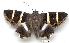  ( - gvc1948-1L)  @15 [ ] Copyright (2004) Unspecified Unspecified