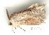  ( - gvc1971-1L)  @13 [ ] Copyright (2004) Unspecified Unspecified