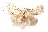  ( - gvc1971-1L)  @13 [ ] Copyright (2004) Unspecified Unspecified