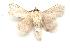  ( - gvc1971-1L)  @13 [ ] Copyright (2004) Unspecified Unspecified