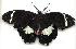  ( - gvc1991-1L)  @15 [ ] Copyright (2004) Unspecified Unspecified