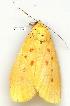  ( - gvc2899-1L)  @12 [ ] Copyright (2004) Unspecified Unspecified