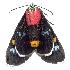  ( - gvc3516-1L)  @13 [ ] Copyright (2004) Unspecified Unspecified