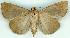  ( - gvc5435-1L)  @13 [ ] Copyright (2004) Unspecified Unspecified