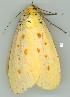  ( - gvc5703-1L)  @12 [ ] Copyright (2004) Unspecified Unspecified