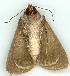  ( - gvc5789-1L)  @13 [ ] Copyright (2004) Unspecified Unspecified