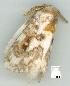  ( - gvc5814-1L)  @13 [ ] Copyright (2004) Unspecified Unspecified