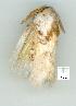  ( - gvc5815-1L)  @13 [ ] Copyright (2004) Unspecified Unspecified