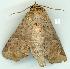  ( - gvc5888-1L)  @13 [ ] Copyright (2004) Unspecified Unspecified