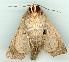  ( - gvc5888-1L)  @13 [ ] Copyright (2004) Unspecified Unspecified