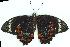  ( - gvc5989-1L)  @13 [ ] Copyright (2004) Unspecified Unspecified