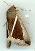  ( - gvc5993-1L)  @13 [ ] Copyright (2004) Unspecified Unspecified