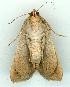  ( - gvc5993-1L)  @13 [ ] Copyright (2004) Unspecified Unspecified