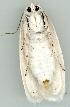 ( - gvc6120-1L)  @13 [ ] Copyright (2004) Unspecified Unspecified