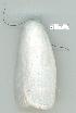  ( - gvc6171-1L)  @12 [ ] Copyright (2004) Unspecified Unspecified