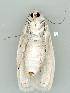  ( - gvc6171-1L)  @12 [ ] Copyright (2004) Unspecified Unspecified