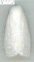  ( - gvc6172-1L)  @12 [ ] Copyright (2004) Unspecified Unspecified