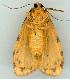  ( - gvc6187-1L)  @12 [ ] Copyright (2004) Unspecified Unspecified