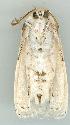  ( - gvc6193-1L)  @12 [ ] Copyright (2004) Unspecified Unspecified