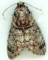  ( - gvc6213-1L)  @13 [ ] Copyright (2004) Unspecified Unspecified