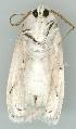  ( - gvc6295-1L)  @12 [ ] Copyright (2004) Unspecified Unspecified