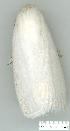  ( - gvc6300-1L)  @12 [ ] Copyright (2004) Unspecified Unspecified