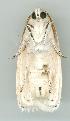  ( - gvc6300-1L)  @12 [ ] Copyright (2004) Unspecified Unspecified