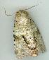  ( - gvc6316-1L)  @12 [ ] Copyright (2004) Unspecified Unspecified