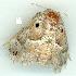  ( - gvc6323-1L)  @13 [ ] Copyright (2004) Unspecified Unspecified