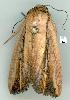  ( - gvc6392-1L)  @12 [ ] Copyright (2004) Unspecified Unspecified