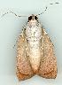 ( - gvc6393-1L)  @13 [ ] Copyright (2004) Unspecified Unspecified