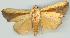  ( - gvc6397-1L)  @14 [ ] Copyright (2004) Unspecified Unspecified
