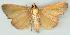  ( - gvc6397-1L)  @13 [ ] Copyright (2004) Unspecified Unspecified