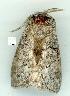  ( - gvc6437-1L)  @13 [ ] Copyright (2004) Unspecified Unspecified