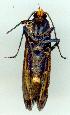  ( - gvc6457-1L)  @12 [ ] Copyright (2004) Unspecified Unspecified