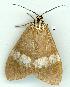  ( - gvc6476-1L)  @14 [ ] Copyright (2004) Unspecified Unspecified
