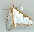  ( - gvc6477-1L)  @13 [ ] Copyright (2004) Unspecified Unspecified