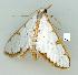  ( - gvc6478-1L)  @13 [ ] Copyright (2004) Unspecified Unspecified