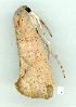  ( - gvc6508-1L)  @12 [ ] Copyright (2004) Unspecified Unspecified