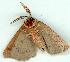  ( - gvc6525-1L)  @13 [ ] Copyright (2004) Unspecified Unspecified