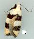 ( - gvc6568-1L)  @12 [ ] Copyright (2004) Unspecified Unspecified