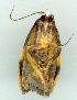  ( - gvc6568-1L)  @12 [ ] Copyright (2004) Unspecified Unspecified