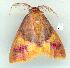  ( - gvc6569-1L)  @13 [ ] Copyright (2004) Unspecified Unspecified