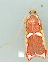  ( - gvc6609-1L)  @12 [ ] Copyright (2004) Unspecified Unspecified